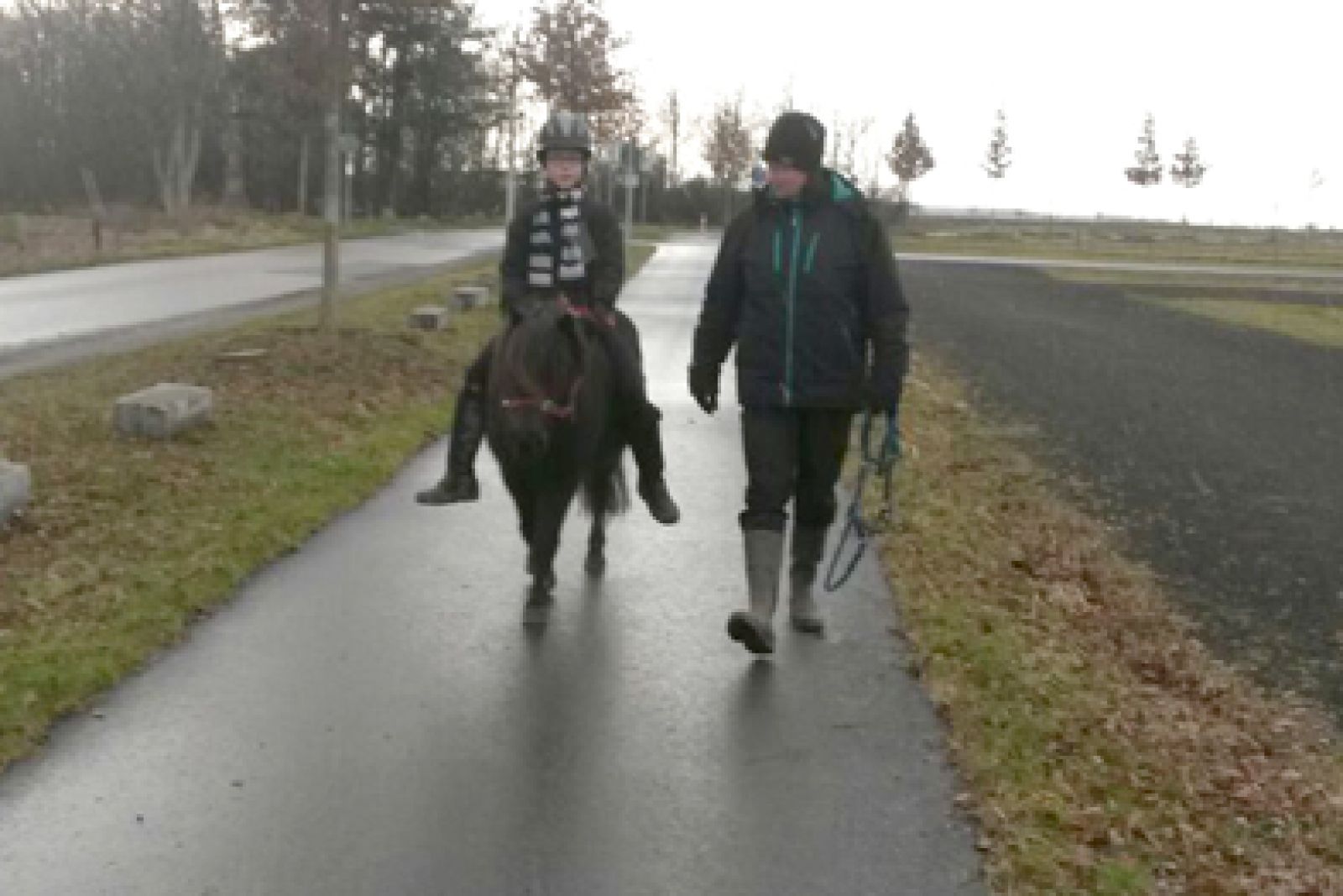 Pferd-und-Natur